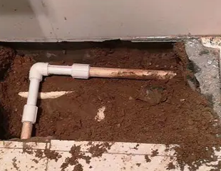 榕江测漏水哪家好