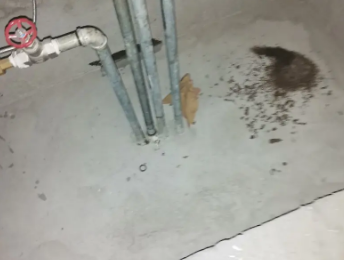 榕江卫生间测漏水价格明细