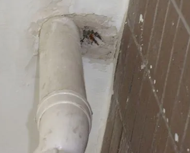 榕江漏水检测哪家好